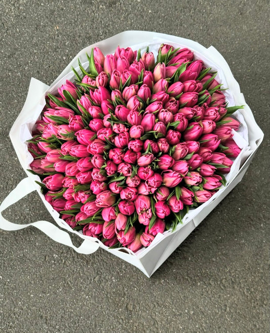 Tulip Garden